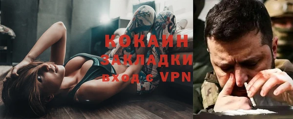 гидра Алексеевка