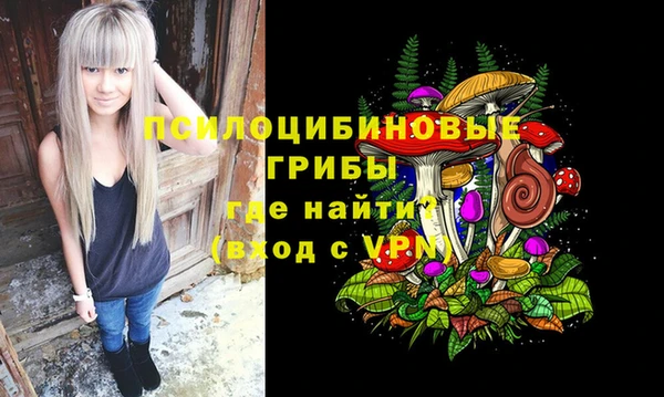 мдпв Алексин
