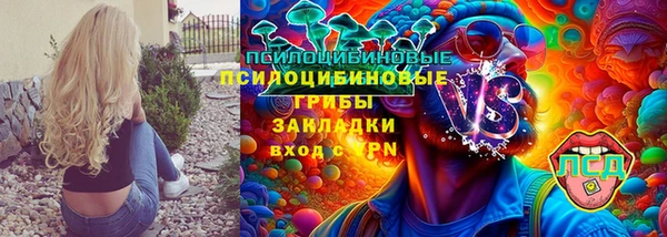 гидра Алексеевка